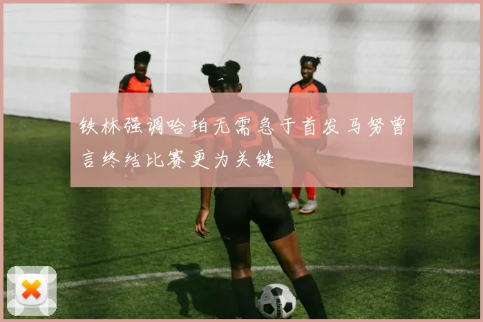铁林强调哈珀无需急于首发马努曾言终结比赛更为关键